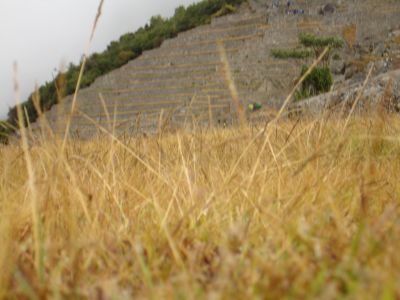 Cliquez pour voir l'image en taille réelle