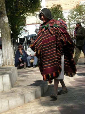 Cliquez pour voir l'image en taille réelle